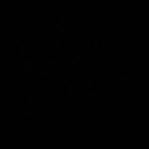 Meet your Posher, Eliana